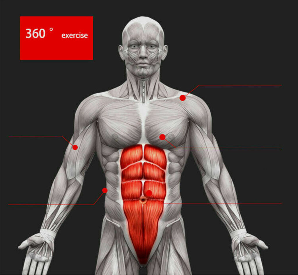 Pro Abs Roller Exercise Wheel